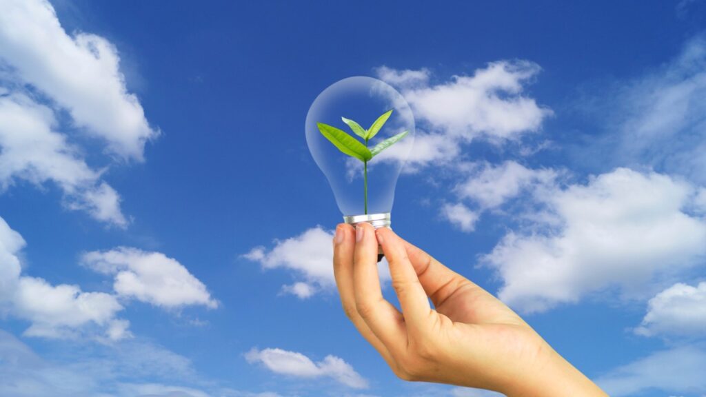 FAPESP e NSF vão apoiar projetos sobre biodiversidade