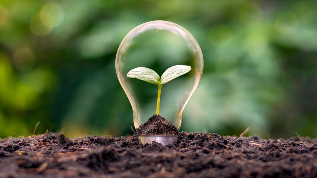 Economia verde impulsiona inovação no agronegócio brasileiro